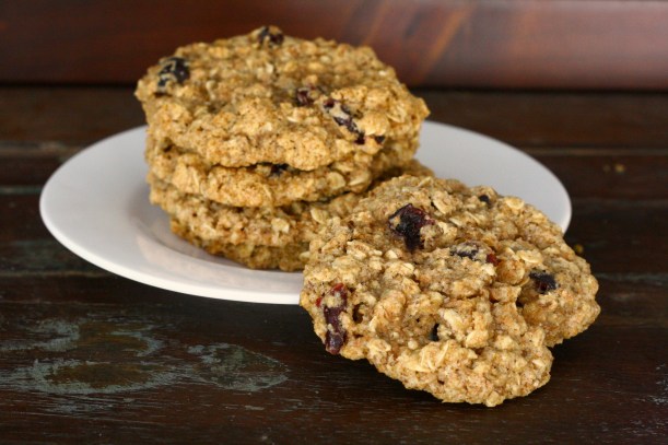 Healthy Oatmeal Craisin Cookies | doughseedough.net