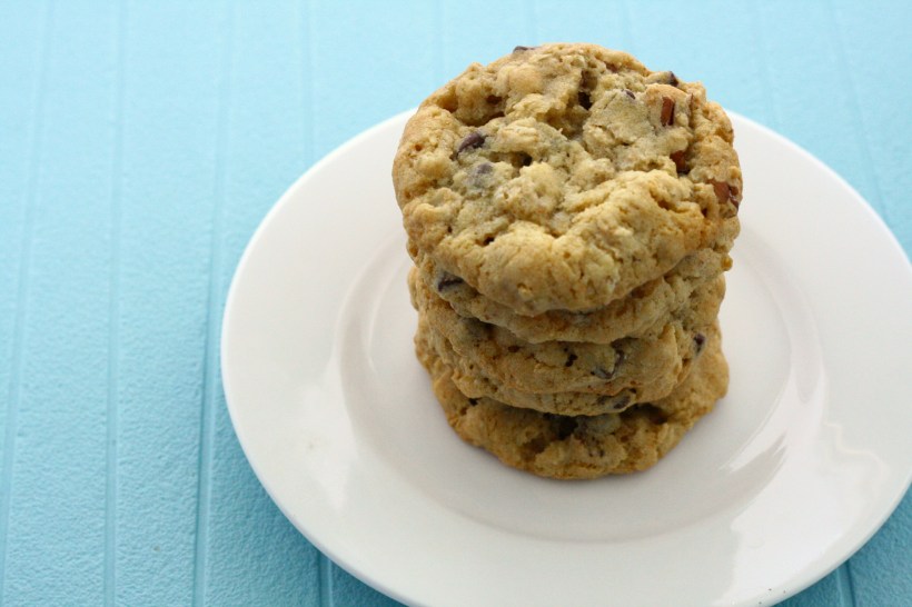 Oatmeal Pecan Chocolate Chip Cookies | doughseedough.net