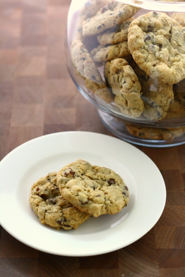 Oatmeal Pecan Chocolate Chip Cookies | doughseedough.net