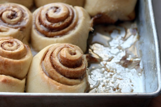 Oeey Gooey Dairy-Free CInnamon Rolls | doughseedough.net