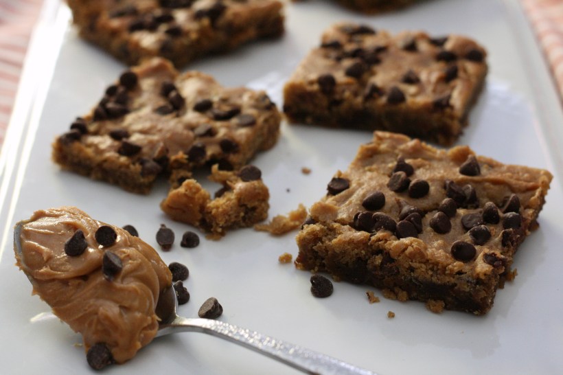 Chocolate Chip Chickpea Blondies | doughseedough.net