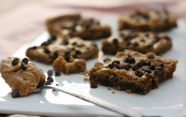 Chocolate Chip Chickpea Blondies | doughseedough.net