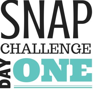 SNAP Challenge Day 1 | doughseedough.net
