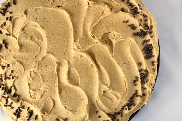 Brownie Cake with Biscoff Frosting |doughseedough.net