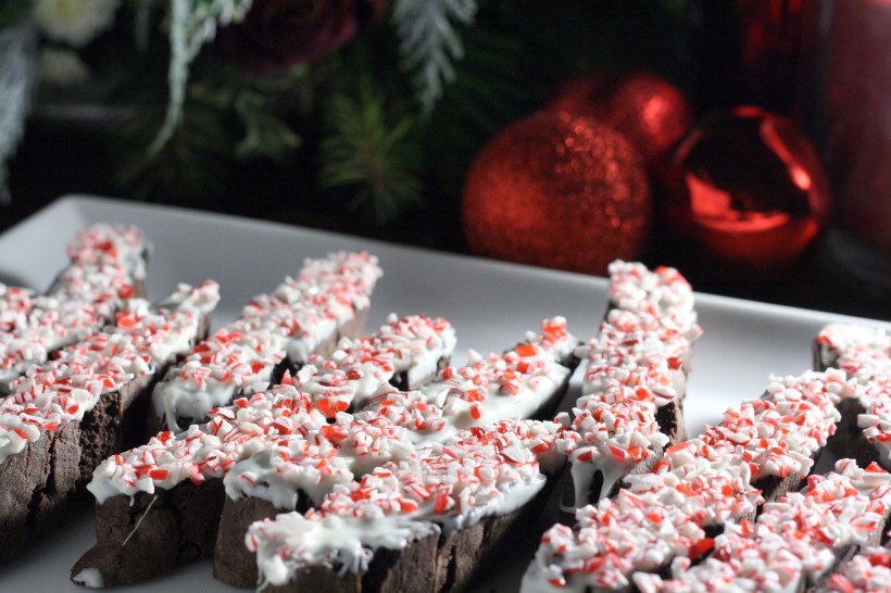 Double Chocolate Peppermint Biscotti | doughseedough.net